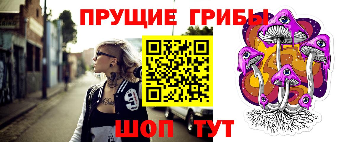 Псилоцибиновые грибы мицелий Саяногорск
