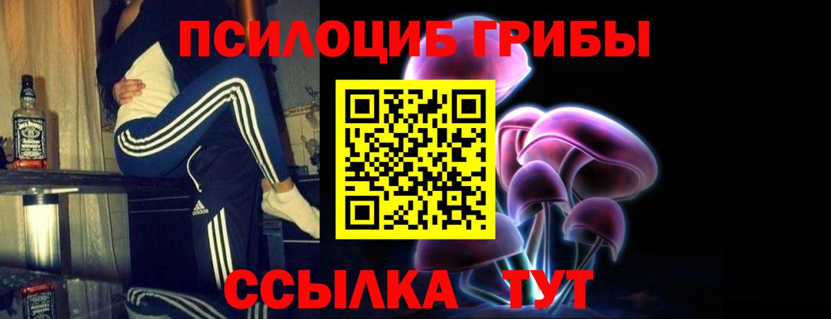 Псилоцибиновые грибы Psilocybine cubensis  Вход с VPN  Саяногорск 